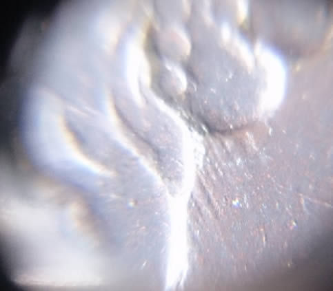 1851-Large-Cent-Newcomb?